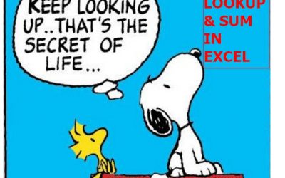 LOOKUP and SUM IN EXCEL